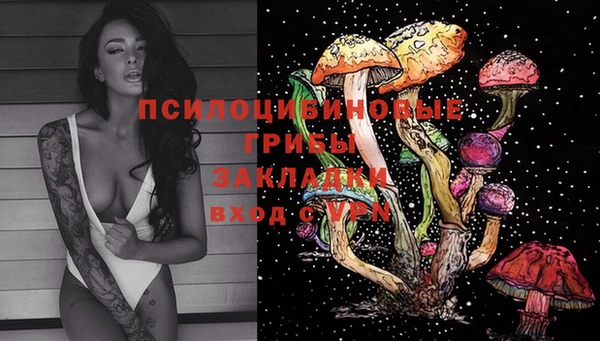 амф Надым