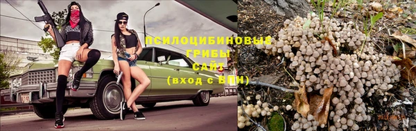 spice Михайлов