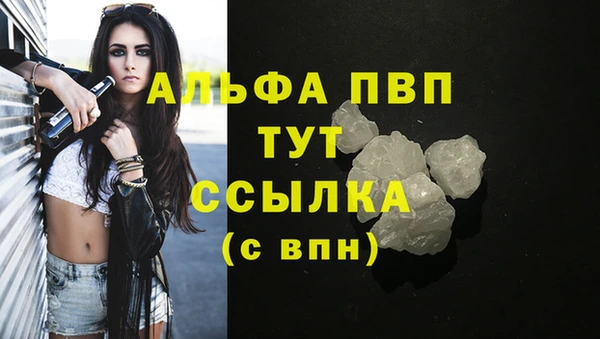 амф Надым