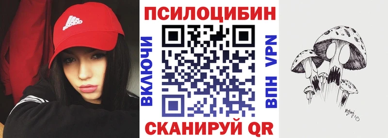 магазин продажи наркотиков  Серафимович  Галлюциногенные грибы Magic Shrooms 